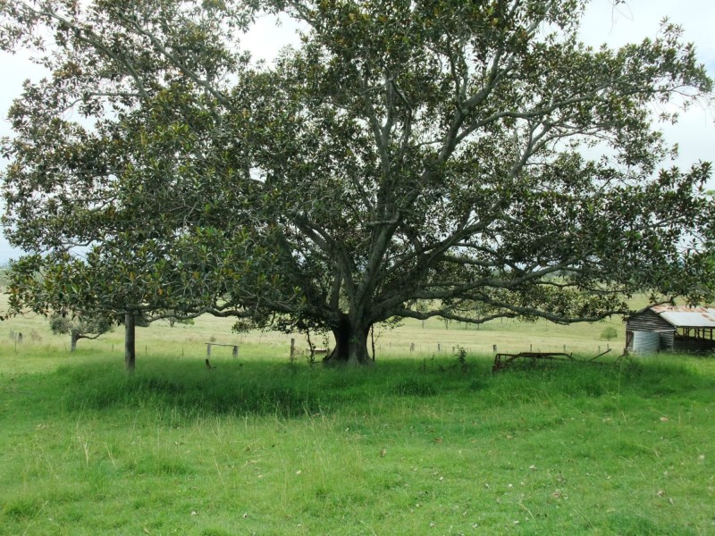 44 Anthony Road, Roadvale QLD 4310