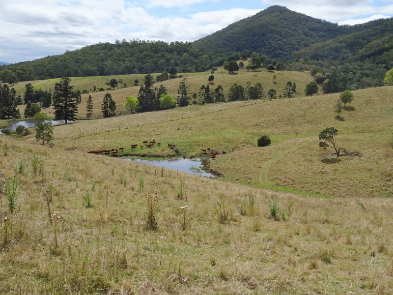 Moogerah QLD 4309