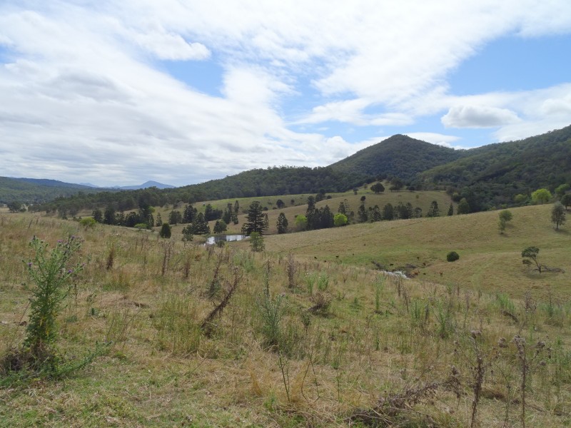 Moogerah QLD 4309