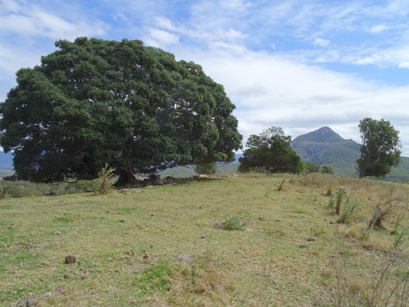 Moogerah QLD 4309