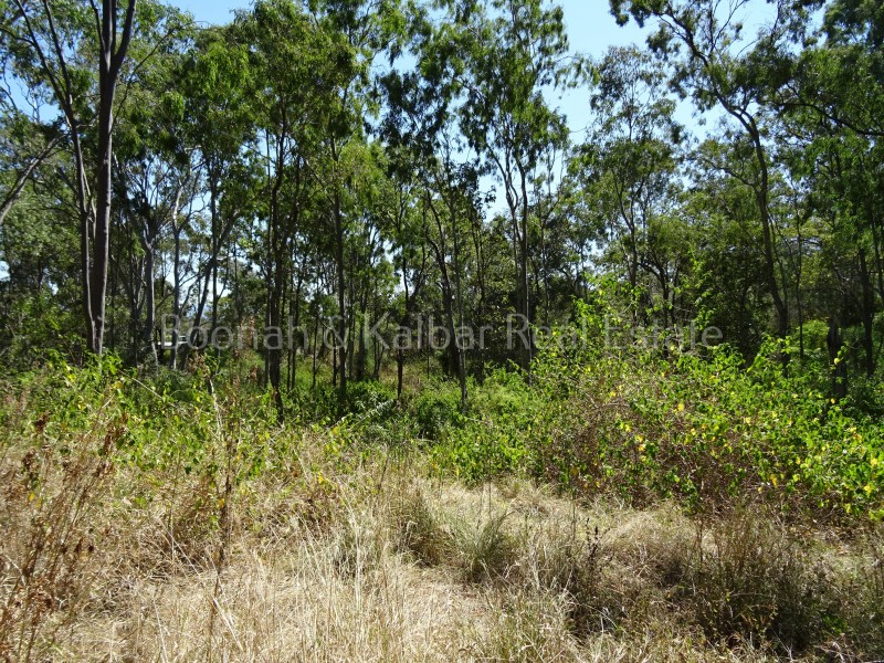 Lot 4 Bunburra Road, Bunburra QLD 4310