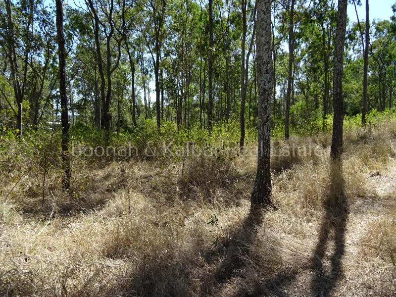 Lot 4 Bunburra Road, Bunburra QLD 4310