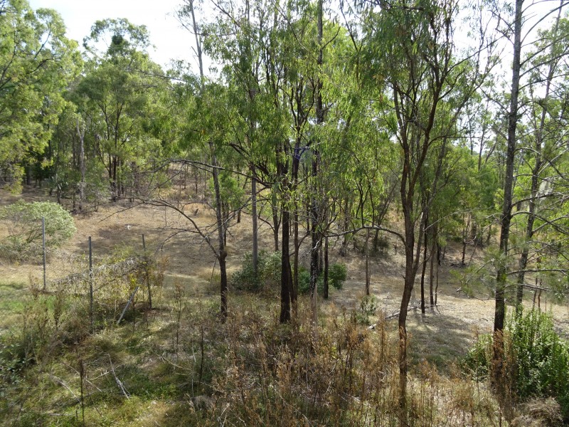 Lot 17, 5 Evelyn St, Aratula QLD 4309