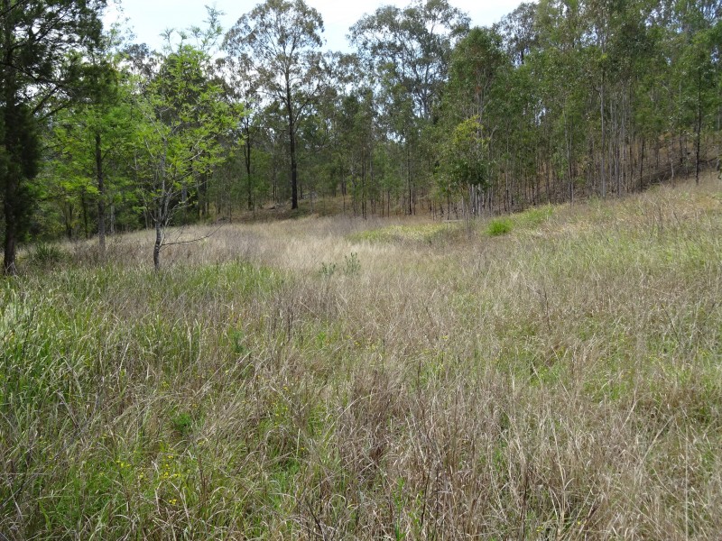 Rathdowney QLD 4287