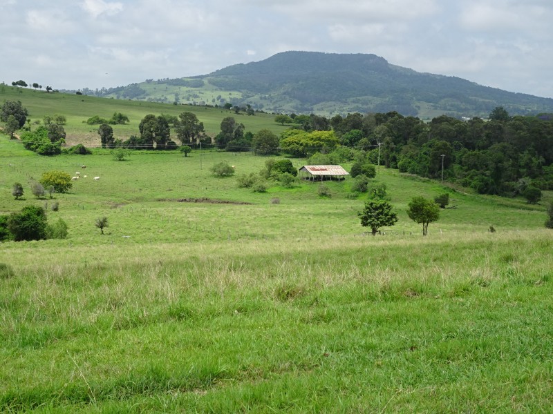 Lot 4, 338 Teviotville Road, Teviotville QLD 4309