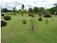 571 Lake Moogerah Road, Charlwood QLD 4309