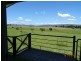 Hoya QLD 4310