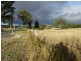 Lot 7 Boonah Rathdowney Road, Maroon QLD 4310