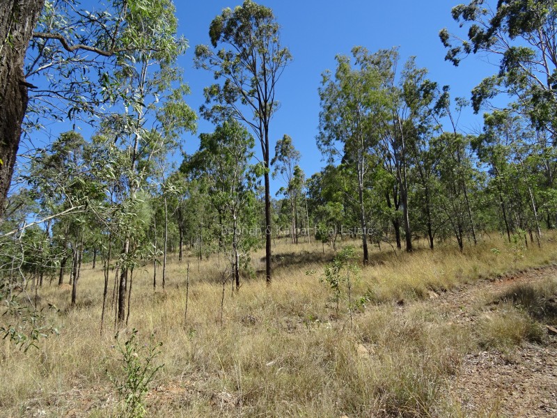 Moogerah QLD 4309
