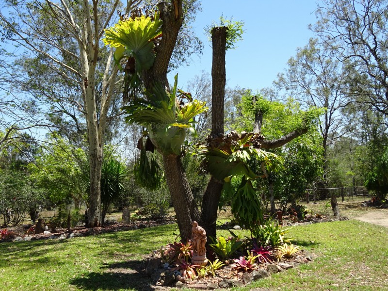 32 Robson Rd, Boonah QLD 4310