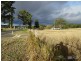 Lot 7 Boonah Rathdowney Road, Maroon QLD 4310