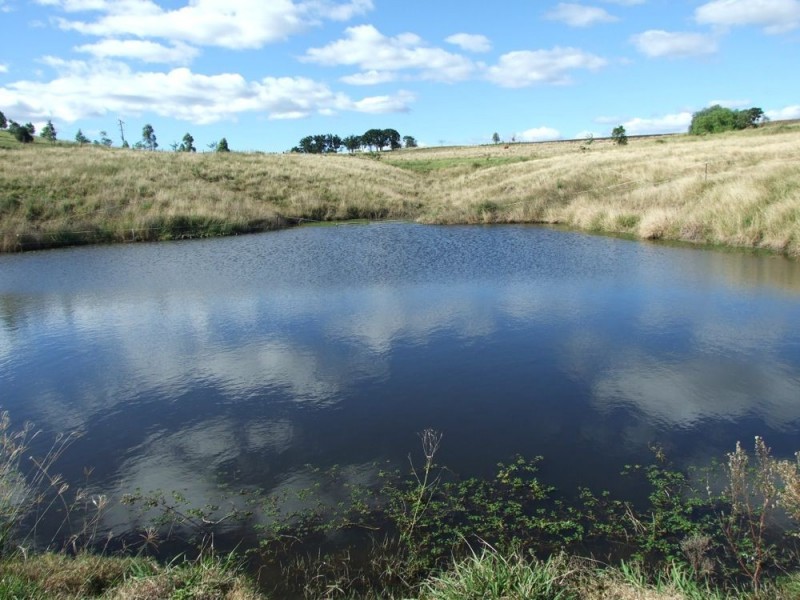 Milford QLD 4310
