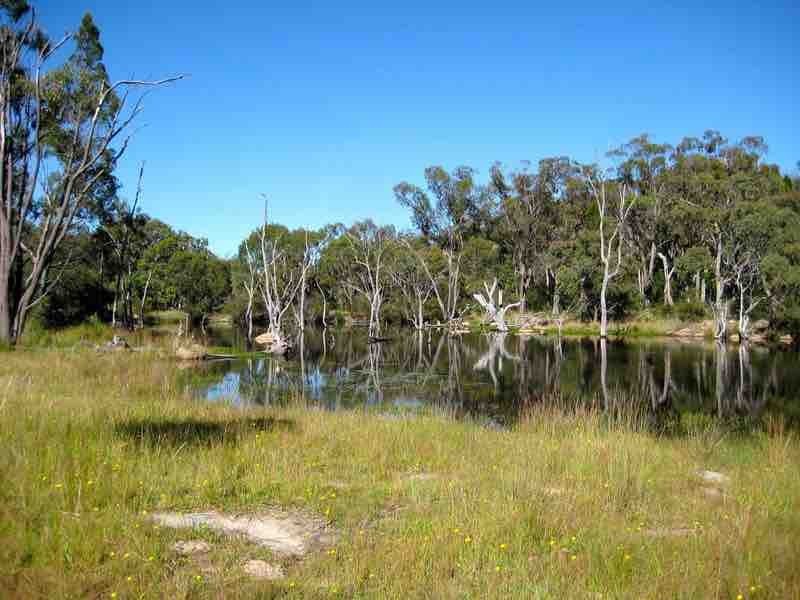 3 Mcgrath Lane, Applethorpe QLD 4378