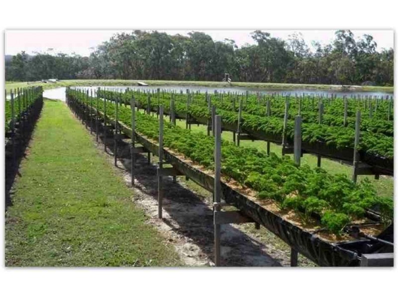 3 Mcgrath Lane, Applethorpe QLD 4378