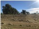 Hoya QLD 4310