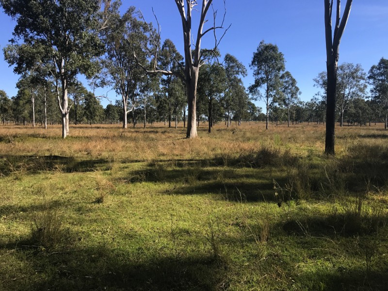 92 Stevens Rd, Purga QLD 4306