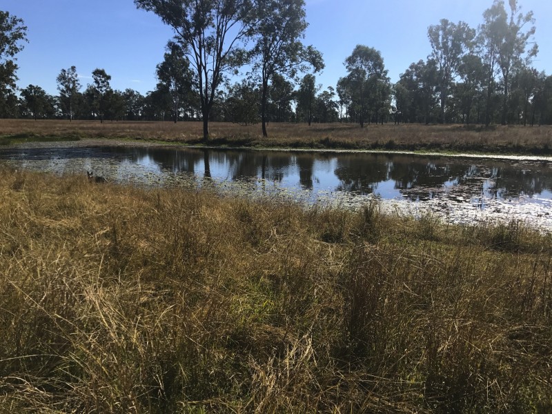 92 Stevens Rd, Purga QLD 4306