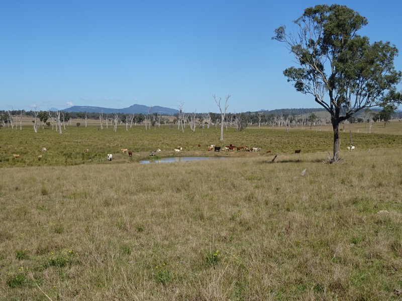 Warrill View QLD 4307