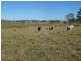 Warrill View QLD 4307