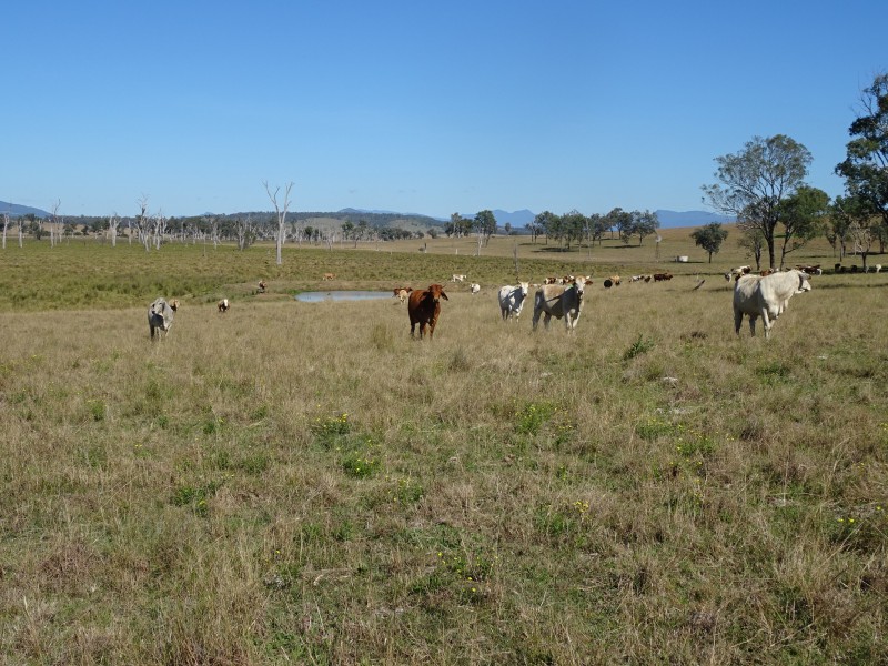 Warrill View QLD 4307