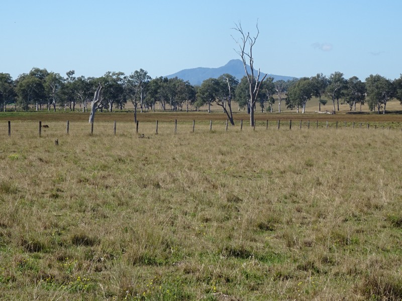 Warrill View QLD 4307