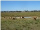 Warrill View QLD 4307