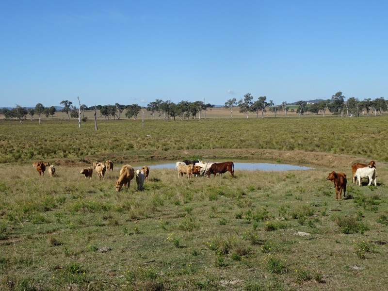 Warrill View QLD 4307