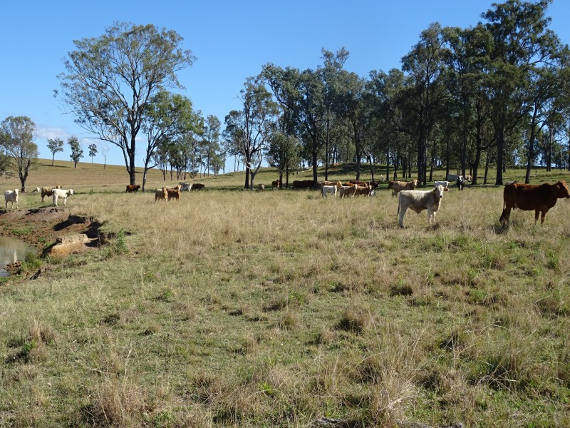 Warrill View QLD 4307