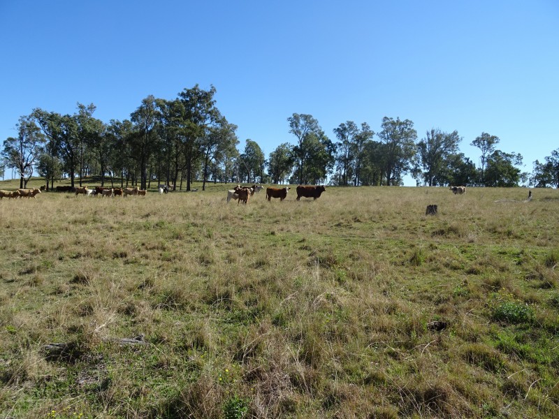 Warrill View QLD 4307
