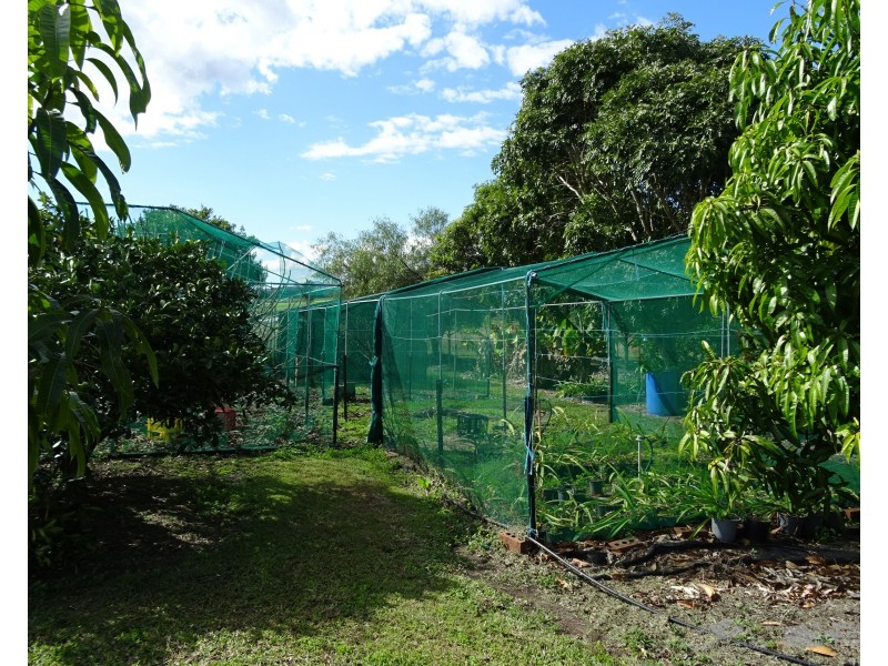 72 Muller Rd, Fassifern QLD 4309
