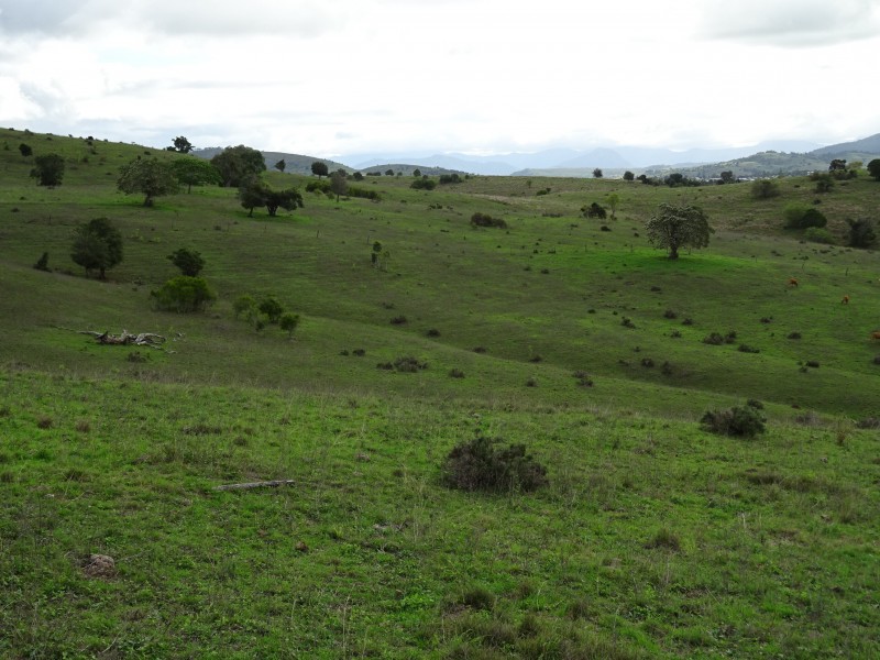 60 Radcliffe Rd, Boonah QLD 4310