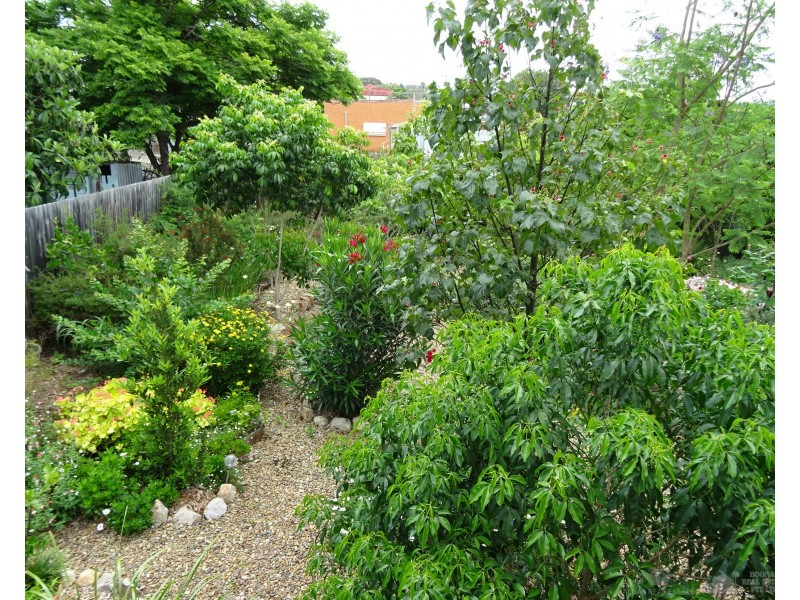 5 Melbourne Street, Boonah QLD 4310