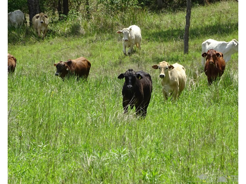 Moogerah QLD 4309