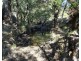 Moogerah QLD 4309