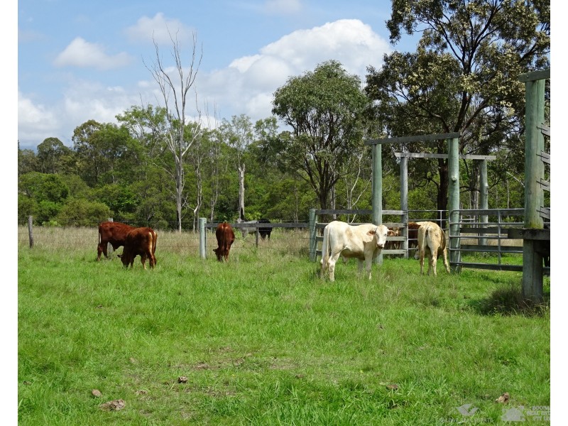 Moogerah QLD 4309