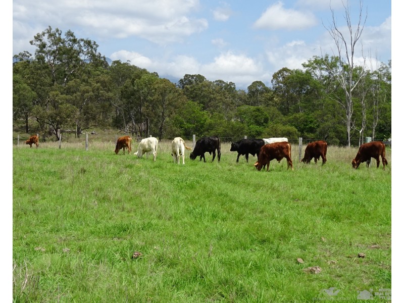 Moogerah QLD 4309