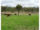 Moogerah QLD 4309