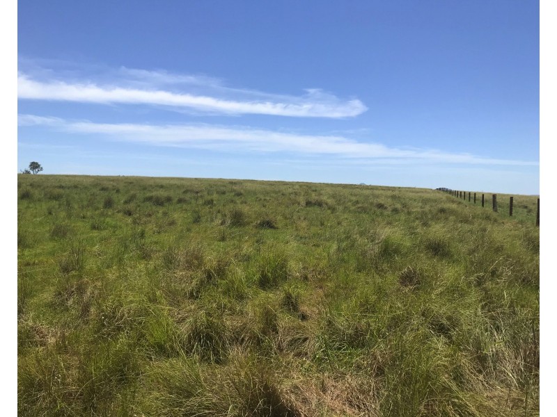 Warrill View QLD 4307