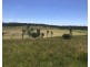 Allandale QLD 4310