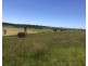Allandale QLD 4310