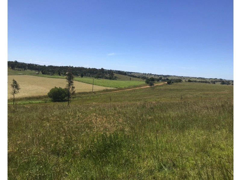 Allandale QLD 4310