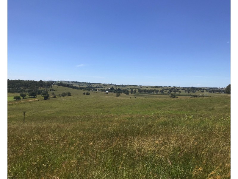 Allandale QLD 4310
