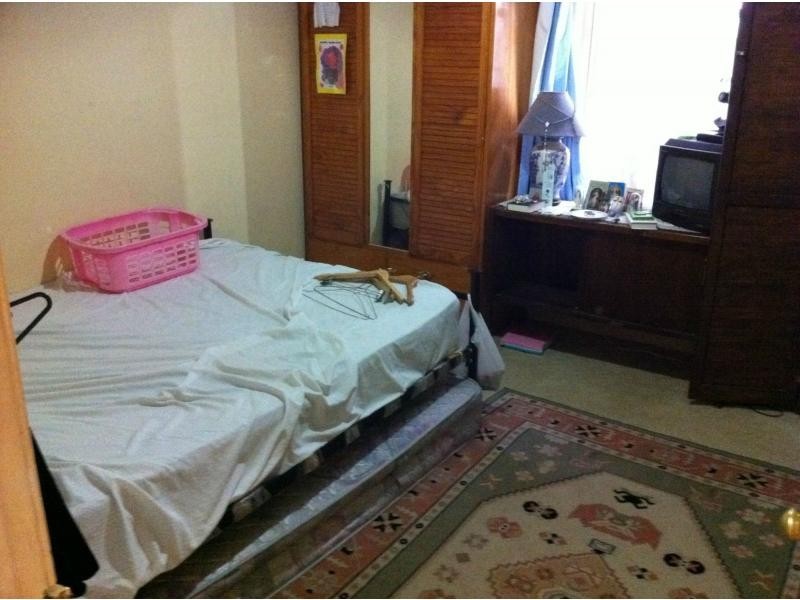 53 Arthur Street, Marrickville NSW 2204