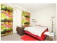 26/1 Brown Street, Ashfield NSW 2131