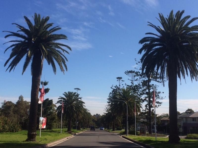 12 College Street, Lidcombe NSW 2141