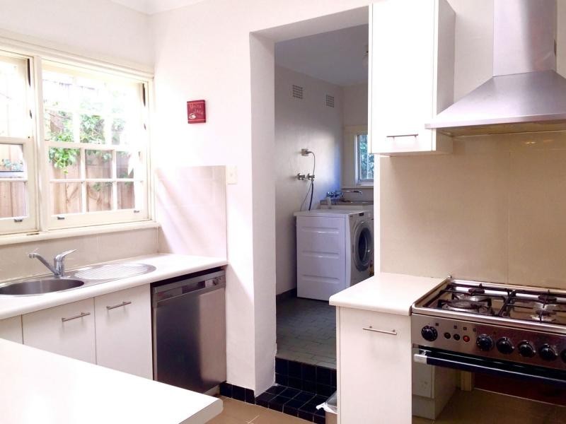 17 Breillat Street, Annandale NSW 2038