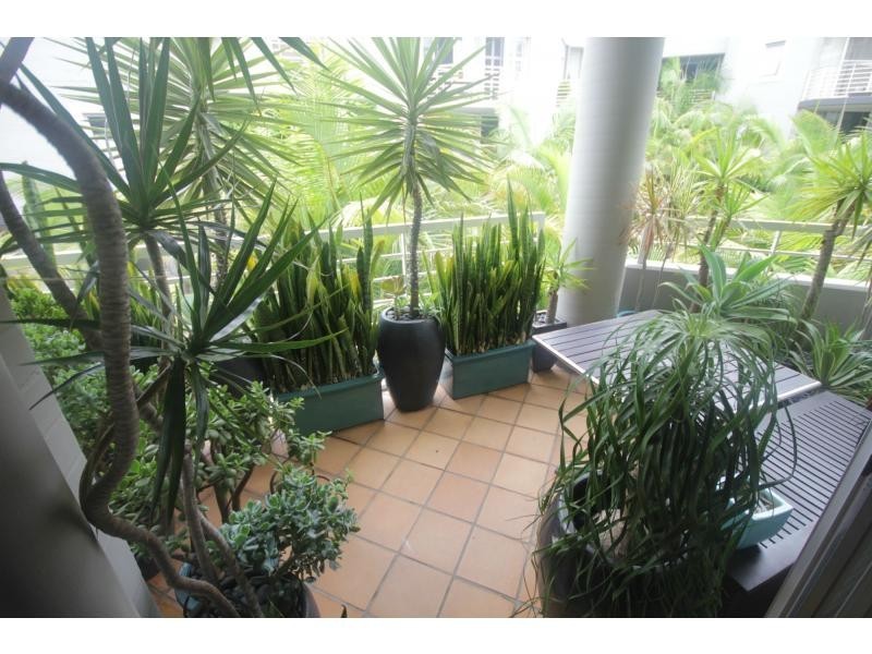 55/92-120 Cleveland Street, Chippendale NSW 2008