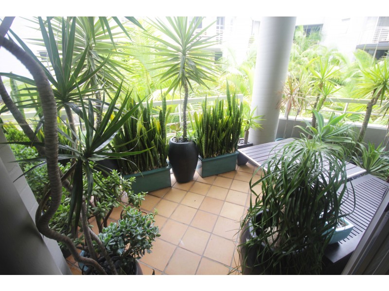 55/92-120 Cleveland Street, Chippendale NSW 2008