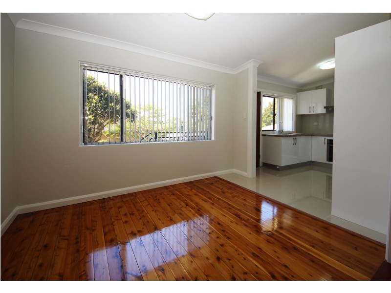 53 Cary Street, Marrickville NSW 2204