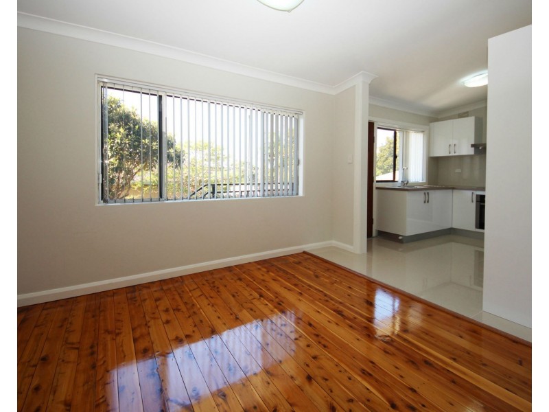 53 Cary Street, Marrickville NSW 2204